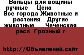 Вальцы для вощины ручные  › Цена ­ 10 000 - Все города Животные и растения » Другие животные   . Чеченская респ.,Грозный г.